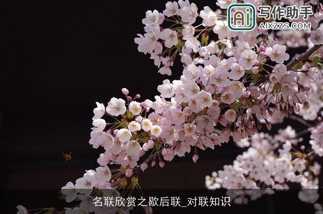 名联欣赏之歇后联_对联知识 名联欣赏之歇后联_对联知识