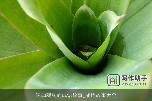 味如鸡肋的成语故事_成语故事大全 味如鸡肋的成语故事_成语故事大全