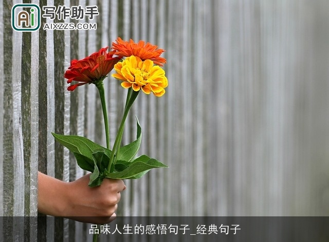 品味人生的感悟句子_经典句子 品味人生的感悟句子_经典句子