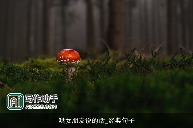 哄女朋友说的话_经典句子 哄女朋友说的话_经典句子