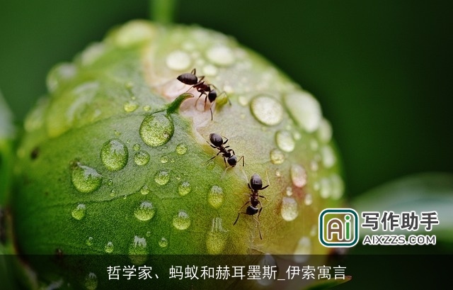 哲学家、蚂蚁和赫耳墨斯_伊索寓言 哲学家、蚂蚁和赫耳墨斯_伊索寓言