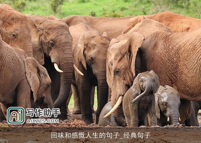 回味和感慨人生的句子_经典句子 回味和感慨人生的句子_经典句子