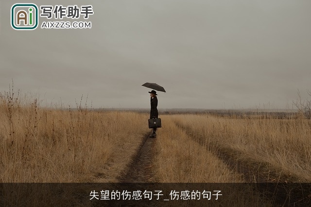 失望的伤感句子_伤感的句子 失望的伤感句子_伤感的句子