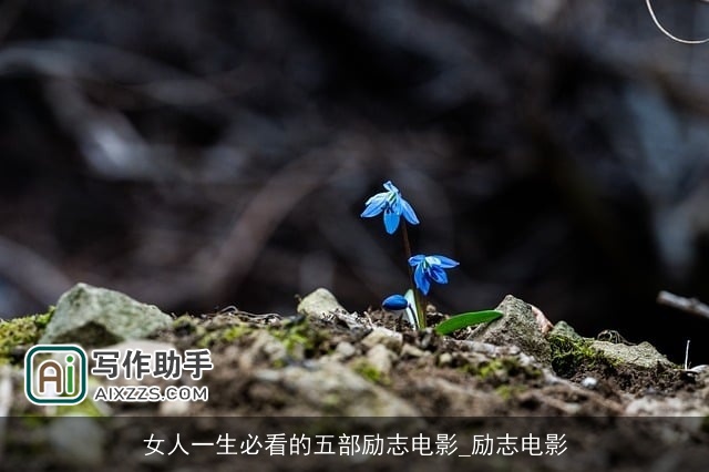 女人一生必看的五部励志电影_励志电影 女人一生必看的五部励志电影_励志电影