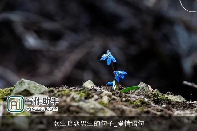 女生暗恋男生的句子_爱情语句 女生暗恋男生的句子_爱情语句