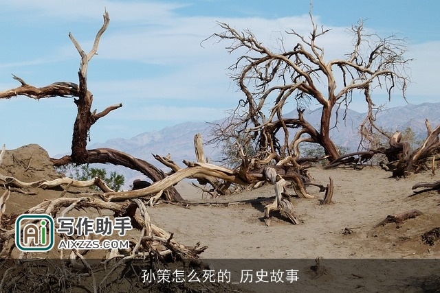 孙策怎么死的_历史故事 孙策怎么死的_历史故事