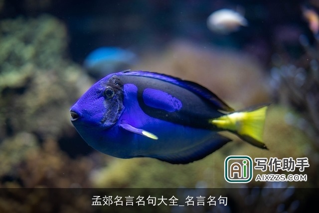 孟郊名言名句大全_名言名句 孟郊名言名句大全_名言名句