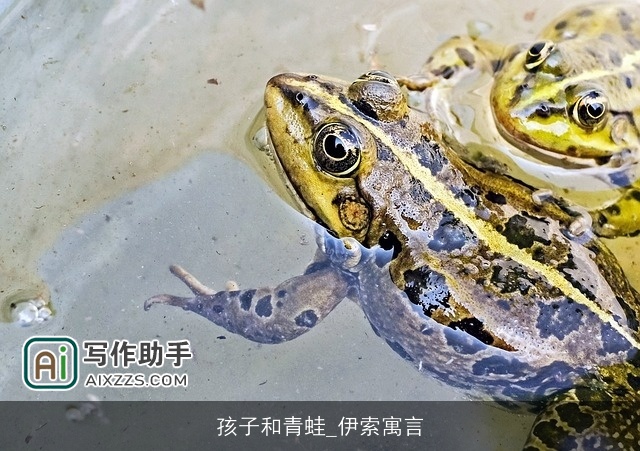 孩子和青蛙_伊索寓言 孩子和青蛙_伊索寓言