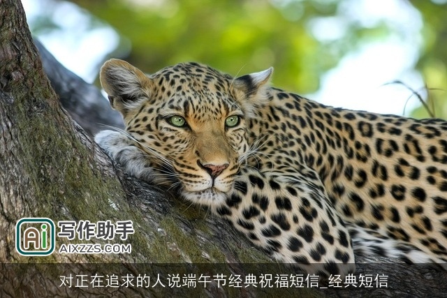 对正在追求的人说端午节经典祝福短信_经典短信 对正在追求的人说端午节经典祝福短信_经典短信