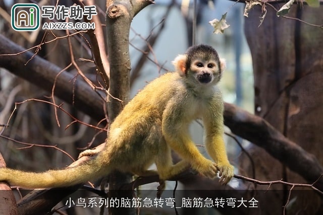 小鸟系列的脑筋急转弯_脑筋急转弯大全 小鸟系列的脑筋急转弯_脑筋急转弯大全