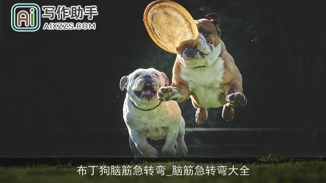 布丁狗脑筋急转弯_脑筋急转弯大全 布丁狗脑筋急转弯_脑筋急转弯大全