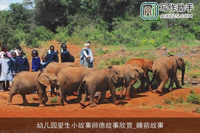 幼儿园爱生小故事师德故事欣赏_睡前故事 幼儿园爱生小故事师德故事欣赏_睡前故事