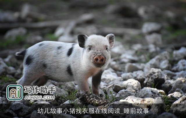 幼儿故事小猪找衣服在线阅读_睡前故事 幼儿故事小猪找衣服在线阅读_睡前故事