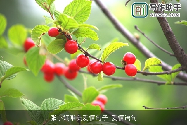 张小娴唯美爱情句子_爱情语句 张小娴唯美爱情句子_爱情语句