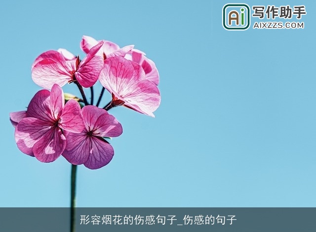 形容烟花的伤感句子_伤感的句子 形容烟花的伤感句子_伤感的句子