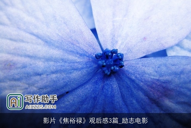 影片《焦裕禄》观后感3篇_励志电影 影片《焦裕禄》观后感3篇_励志电影