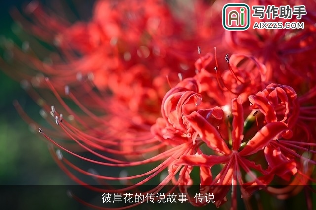 彼岸花的传说故事_传说 彼岸花的传说故事_传说