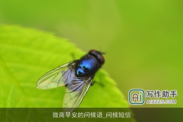 微商早安的问候语_问候短信 微商早安的问候语_问候短信