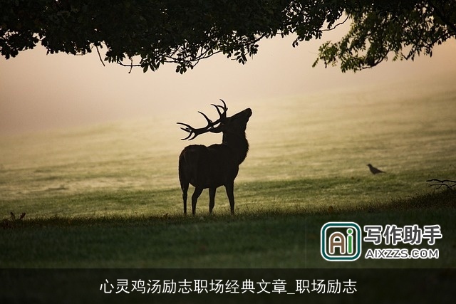 心灵鸡汤励志职场经典文章_职场励志 心灵鸡汤励志职场经典文章_职场励志