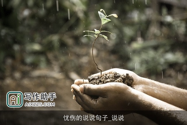 忧伤的说说句子_说说 忧伤的说说句子_说说