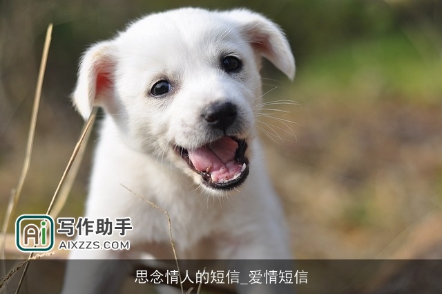 思念情人的短信_爱情短信 思念情人的短信_爱情短信