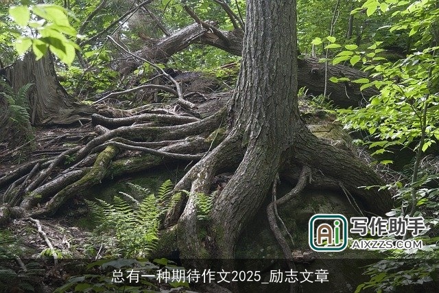 总有一种期待作文2025_励志文章 总有一种期待作文2025_励志文章