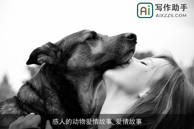 感人的动物爱情故事_爱情故事 感人的动物爱情故事_爱情故事