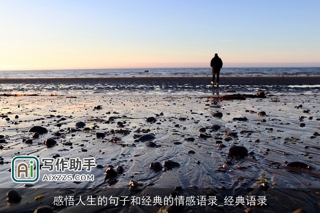 感悟人生的句子和经典的情感语录_经典语录 感悟人生的句子和经典的情感语录_经典语录