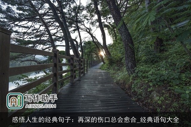 感悟人生的经典句子:再深的伤口总会愈合_经典语句大全 感悟人生的经典句子:再深的伤口总会愈合_经典语句大全