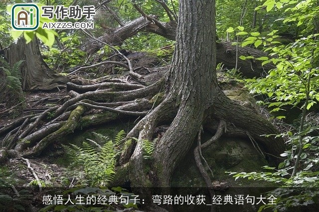 感悟人生的经典句子:弯路的收获_经典语句大全 感悟人生的经典句子:弯路的收获_经典语句大全