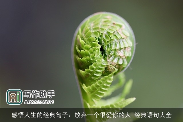 感悟人生的经典句子:放弃一个很爱你的人_经典语句大全 感悟人生的经典句子:放弃一个很爱你的人_经典语句大全