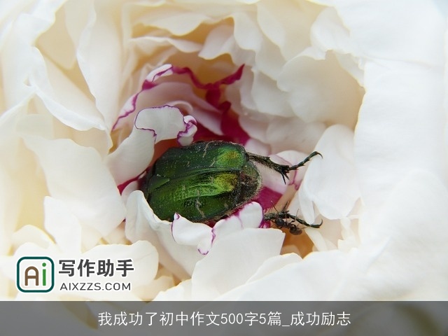 我成功了初中作文500字5篇_成功励志 我成功了初中作文500字5篇_成功励志