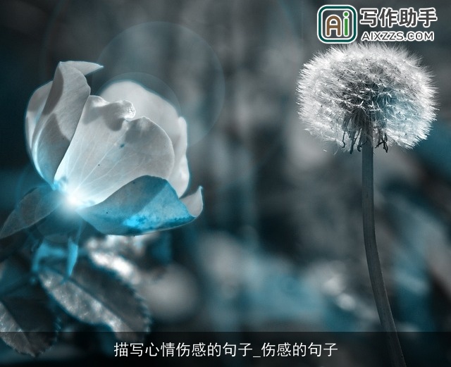 描写心情伤感的句子_伤感的句子 描写心情伤感的句子_伤感的句子