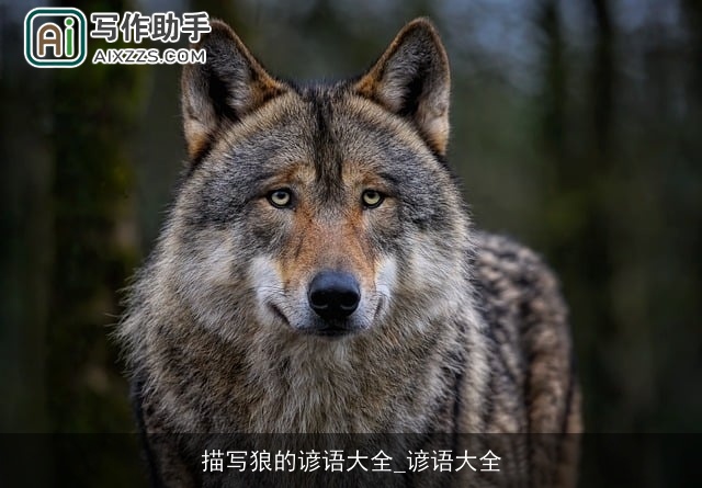 描写狼的谚语大全_谚语大全 描写狼的谚语大全_谚语大全