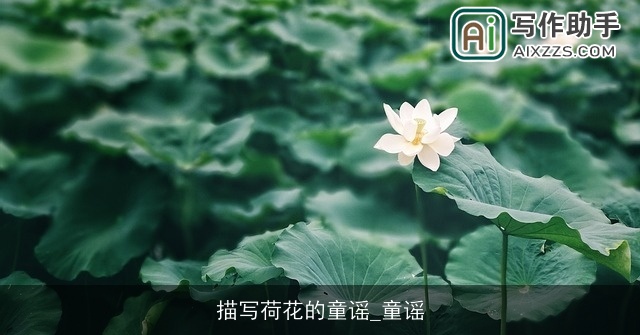 描写荷花的童谣_童谣 描写荷花的童谣_童谣