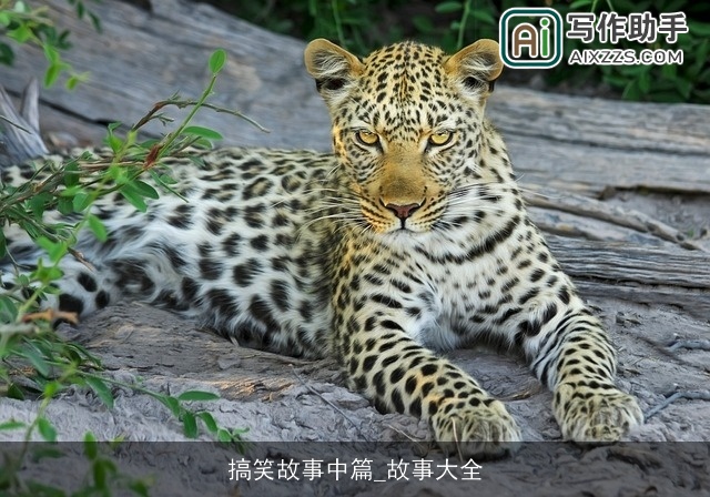 搞笑故事中篇_故事大全 搞笑故事中篇_故事大全