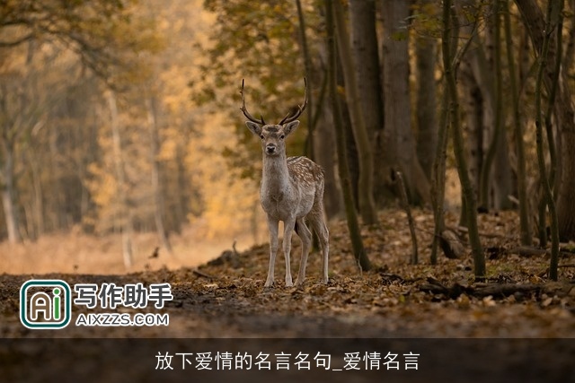 放下爱情的名言名句_爱情名言 放下爱情的名言名句_爱情名言