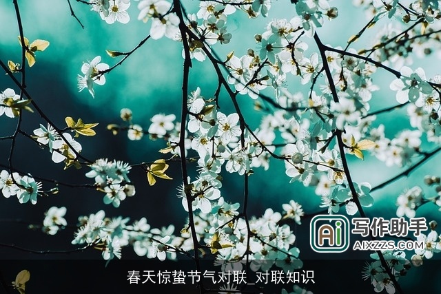 春天惊蛰节气对联_对联知识 春天惊蛰节气对联_对联知识