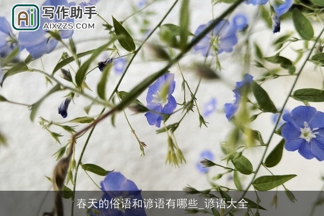 春天的俗语和谚语有哪些_谚语大全 春天的俗语和谚语有哪些_谚语大全