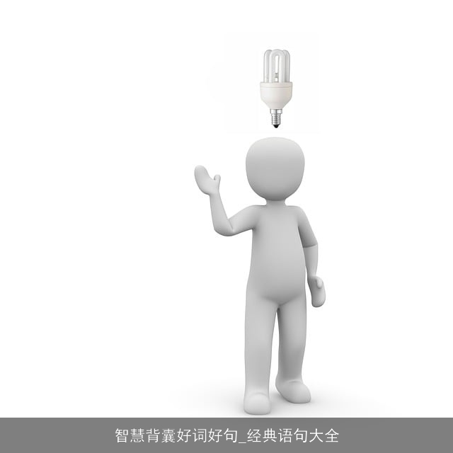 智慧背囊好词好句_经典语句大全 智慧背囊好词好句_经典语句大全