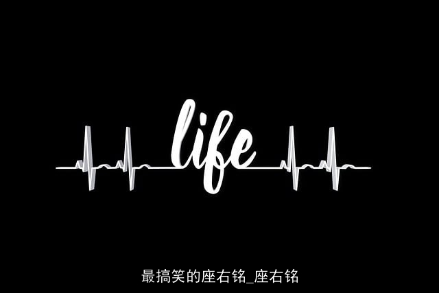 最搞笑的座右铭_座右铭 最搞笑的座右铭_座右铭