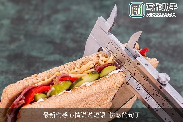 最新伤感心情说说短语_伤感的句子 最新伤感心情说说短语_伤感的句子