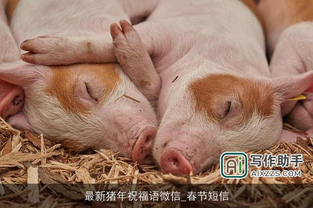 最新猪年祝福语微信_春节短信 最新猪年祝福语微信_春节短信