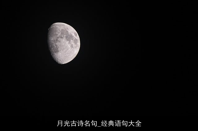 月光古诗名句_经典语句大全 月光古诗名句_经典语句大全