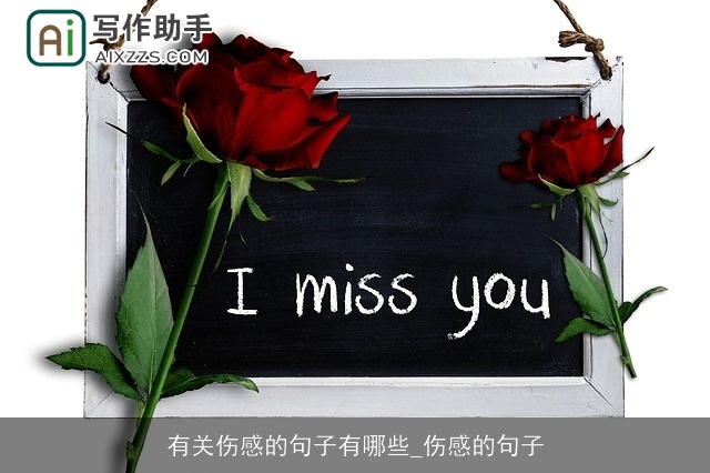 有关伤感的句子有哪些_伤感的句子 有关伤感的句子有哪些_伤感的句子