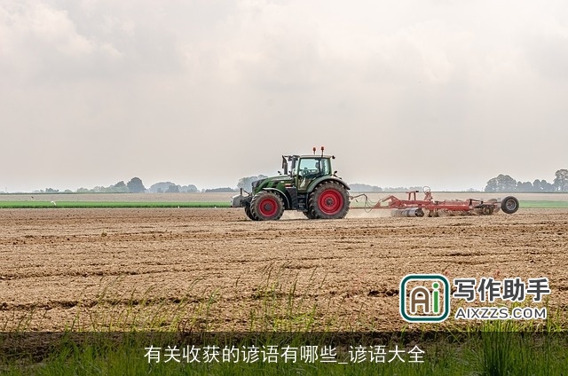 有关收获的谚语有哪些_谚语大全 有关收获的谚语有哪些_谚语大全