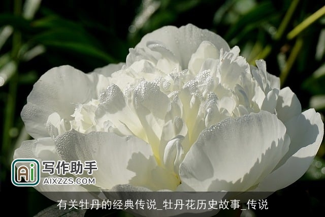 有关牡丹的经典传说_牡丹花历史故事_传说 有关牡丹的经典传说_牡丹花历史故事_传说