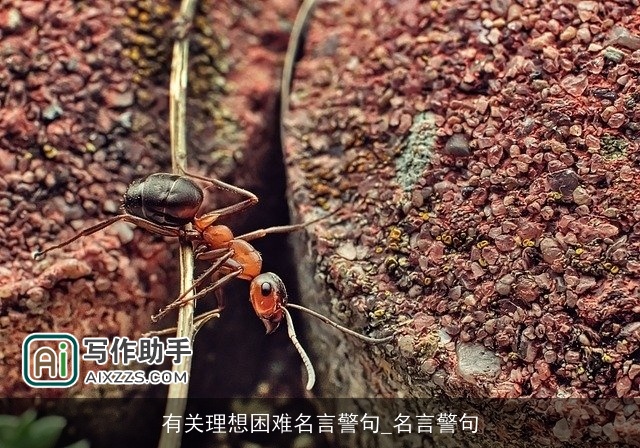 有关理想困难名言警句_名言警句 有关理想困难名言警句_名言警句