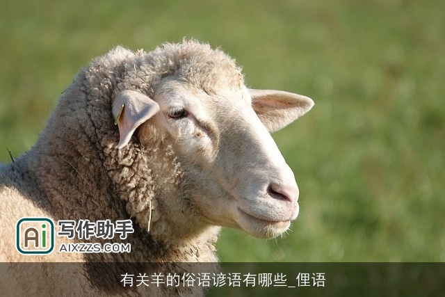 有关羊的俗语谚语有哪些_俚语 有关羊的俗语谚语有哪些_俚语