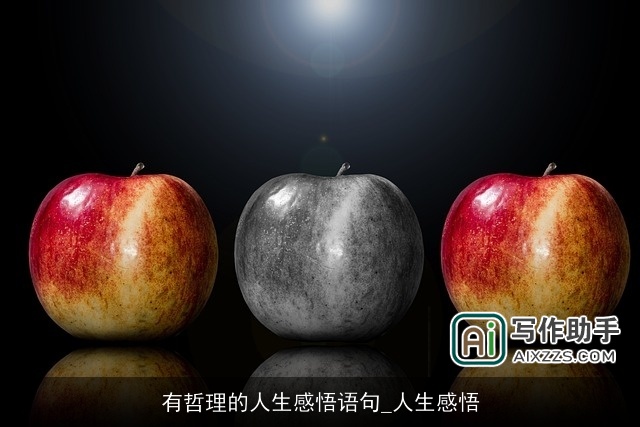 有哲理的人生感悟语句_人生感悟 有哲理的人生感悟语句_人生感悟